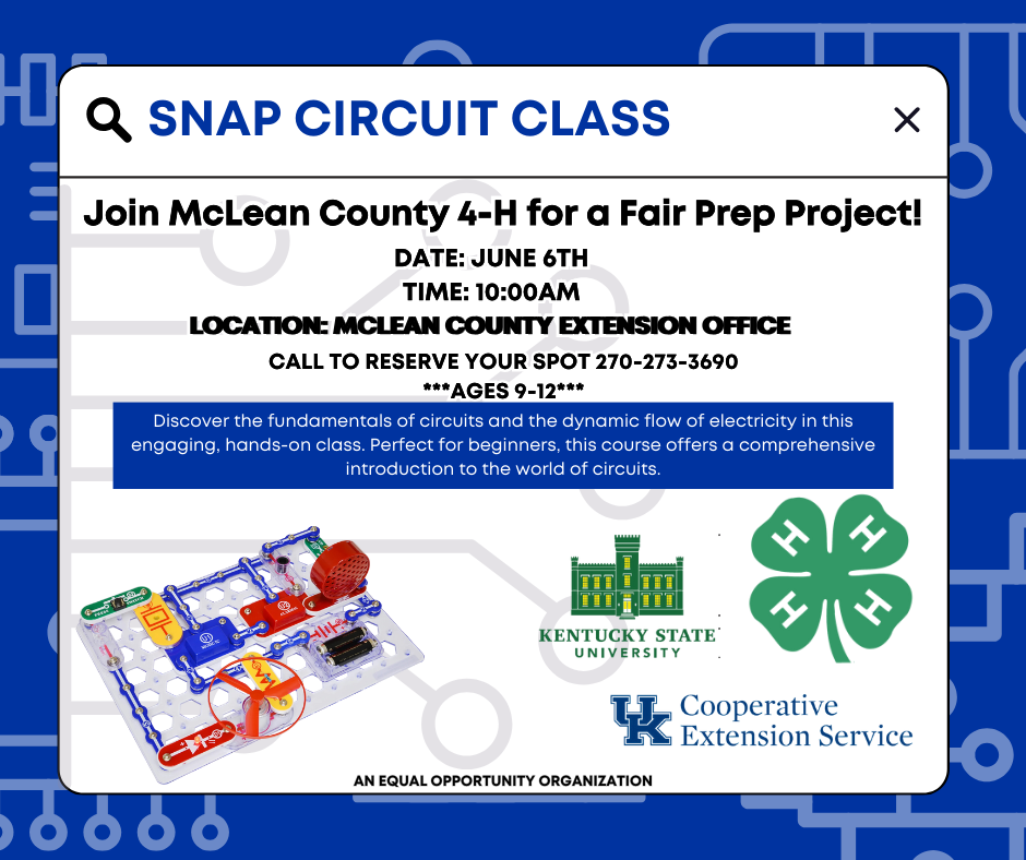 Snap Circuit Class Poster