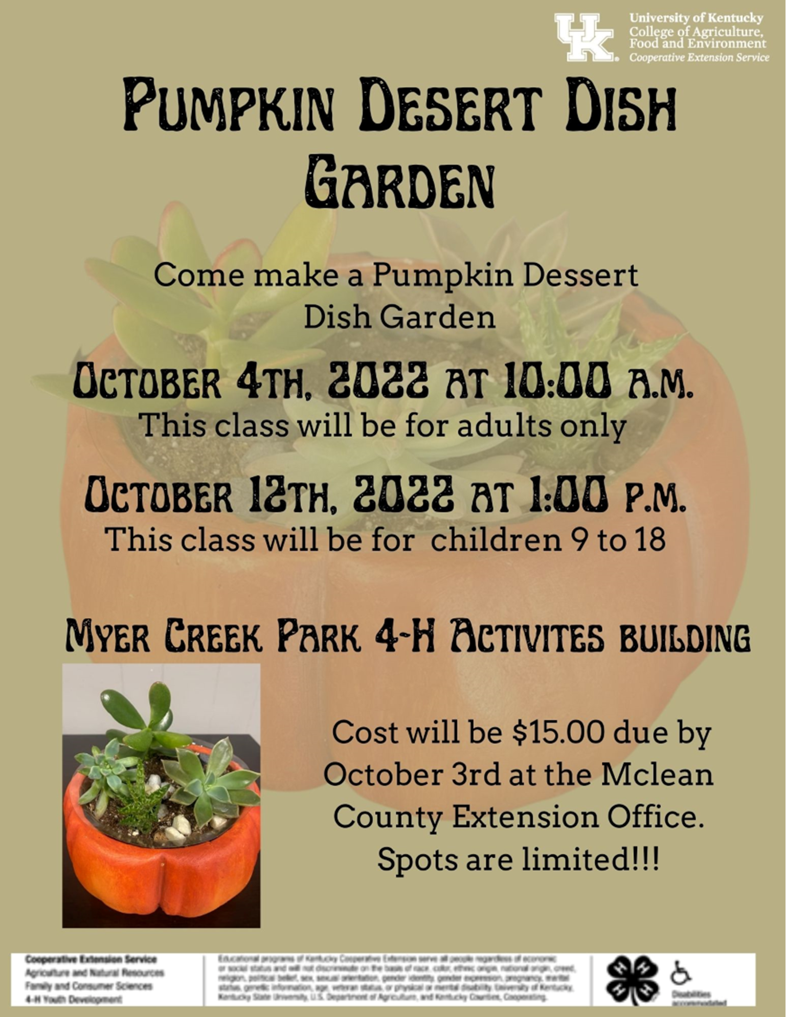 Pumpkin Desert Dish Garden