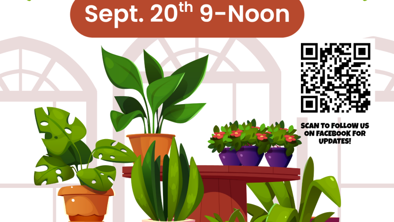 Flyer Plant Swap Info